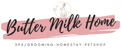 Nhà Bơ Sữa – Butter Milk Home